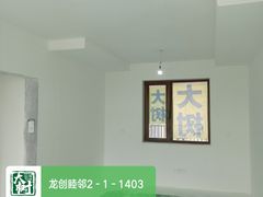 -大树装饰·十年本土家装