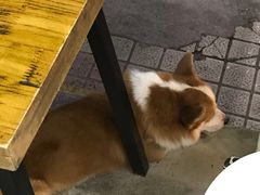 -小梁哥云吞面(黄贝岭店)