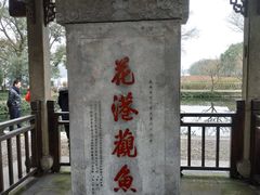 -西湖外事游船(花港观鱼码头)