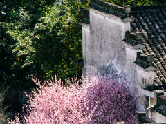 -徽商大宅院