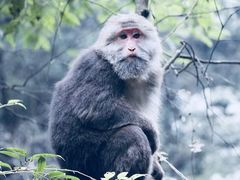 -西岭雪山大飞水景区