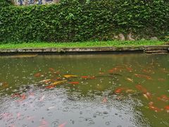 -宁波市保国寺古建筑博物馆