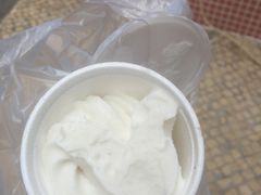 椰子雪糕-洪馨椰子