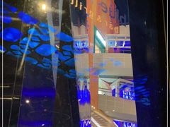 -bluefrog蓝蛙(水游城店)