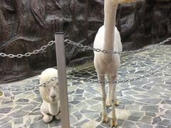 -上海大自然野生昆虫馆(东方明珠·爬宠昆虫探索中心)