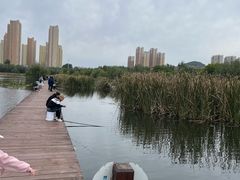 -前关湿地公园