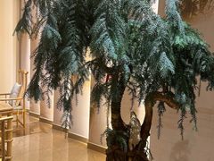 -享悦阁·足道·龙筋SPA·24h公馆(华林国际店)