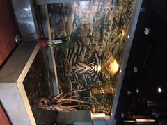 大渔铁板烧(安贞店)-大渔之观(安贞店)