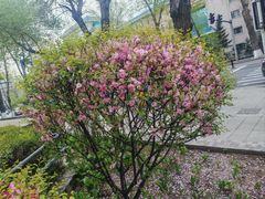 -长春市南湖公园