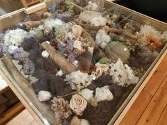 -青岛海景花园大酒店