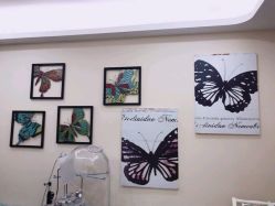 -新蝶变皮肤管理中心