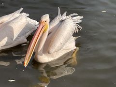 -沈阳森林动物园