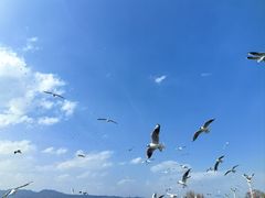 -海埂大坝