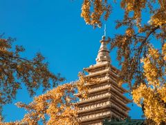 -北京石刻艺术博物馆(五塔寺)