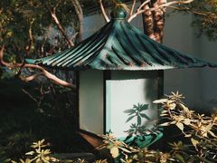 -秋霞圃