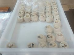 -万福兴(东中市店)