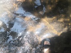 -红山村