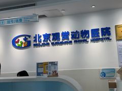 -北京观赏动物医院·24小时大型综合·猫专科·异宠专科