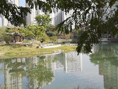 -四海公园(南山区)