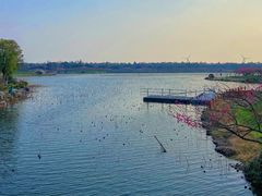 -上海海湾国家森林公园