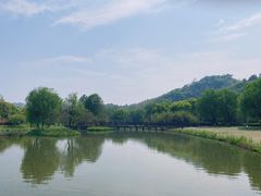 -绍兴镜湖国家城市湿地公园