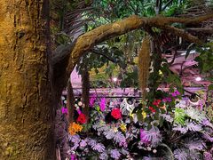 -正佳雨林生态植物园