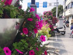 -随柳居·苏式小吃(建新巷店)