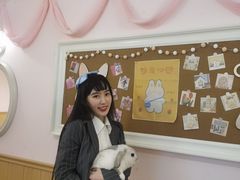 -猫猫幼稚园·撸猫·桌游·电玩