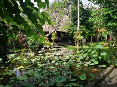 -脏鸭餐厅(乌布总店)