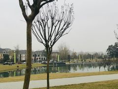 -两河城市森林公园