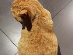 -杰J.w.m深夜食堂 厚杰居酒屋(淮海街商业街店)