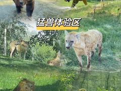 -北京野生动物园