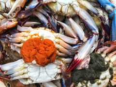 景点-尼甘布海鲜市场