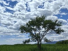 -野鸭湖国家湿地公园
