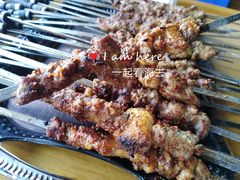 烤羊肉串-新疆伏拉沃餐厅(白龙南路店)
