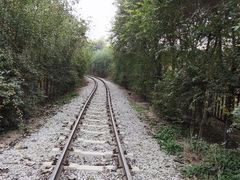 -西青郊野公园