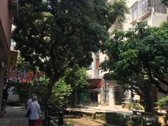 -小洲村