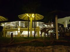 景点-清迈夜间动物园