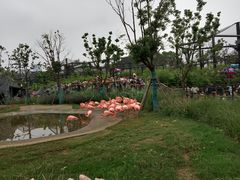 -武汉动物园