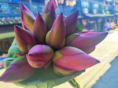 -葑门横街