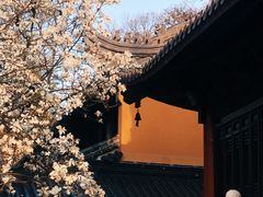 -灵谷景区