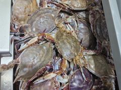 -星海汇海鲜自助烤肉火锅(百大店)