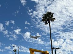 -In-N-Out Burger(LAX)