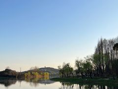 -渤公岛生态公园