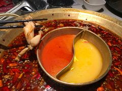 -哥老官重庆美蛙鱼头(宝山龙湖店)