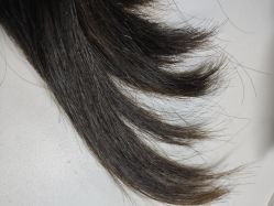 点击看大图 -HairCode芭曲发型