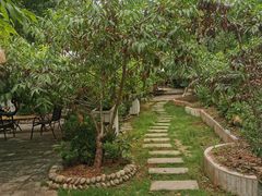 -桃源山庄·水蜜桃采摘·柴火鸡·烧烤团建(龙泉山店)