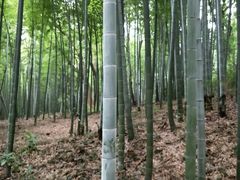 -宝岩生态观光园