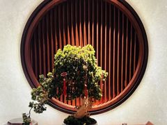 -隐厨·中国菜馆(三里屯T+MALL店)