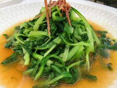 -圆苑(静安寺店)